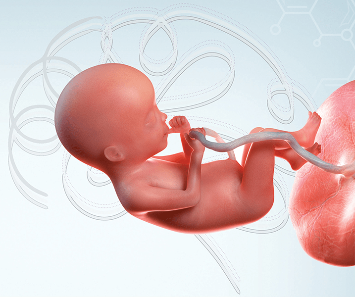 fetal neurosonography delhi fetal brain clinic delhi