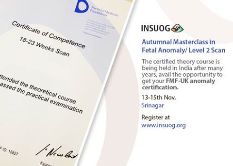 FMF UK Anomaly certification